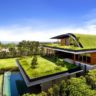 green-roof-01-520x374
